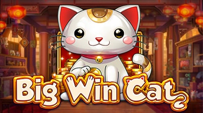 Big Win Cat